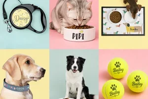 Voor de meest verwende huisdieren 🐾