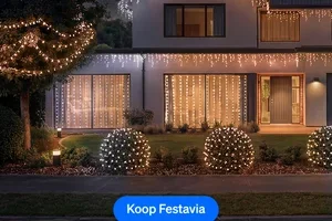 Ontmoet onze nieuwe Festavia's!
