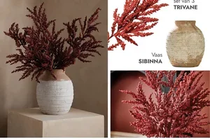 Tijdloze herfstbloemen voor in huis 💐