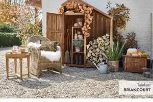 Rotanfavorieten voor de herfst 🍂