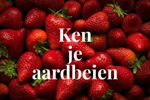 🍓 Aardbeien onder de loep genomen
