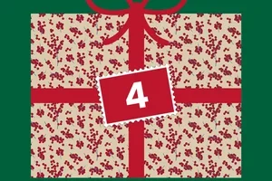 Wil je 24 kerstverrassingen? 🎁🎄