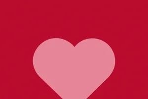 Bekijk onze top 5 🤩🚨