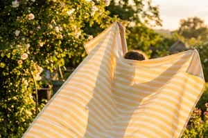​ ​ De zomer is geserveerd 🌞🍦​ ​