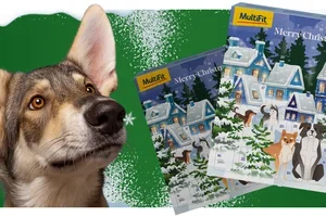 Shop nu al je kerstcadeaus! 🎄