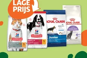 Topsellers met Lage Prijs 🧡   