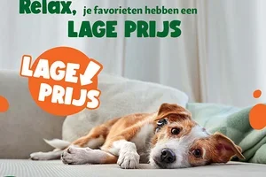 Topsellers met Lage Prijs 🧡   