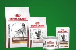 Bijna voorbij: je zomerse dierendeals