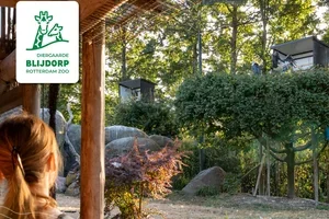 Heb jij de ZOOmeravonden in Blijdorp al ervaren? ☀️