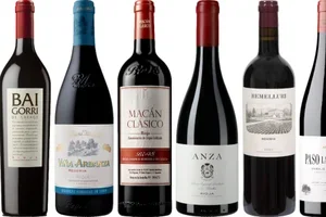 Spanje: Best beoordeelde wijnen 🍷