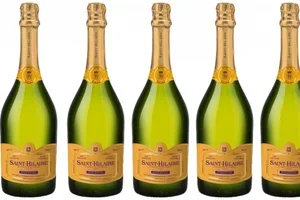 11.11 Singles Day - BESPAAR VEEL 💰 op topwijnen 🍷