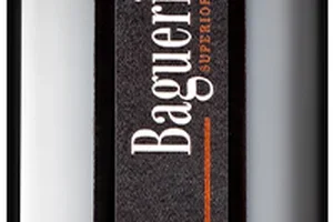 Cyber Monday, BESPAAR VEEL 💰 op topwijnen 🍷