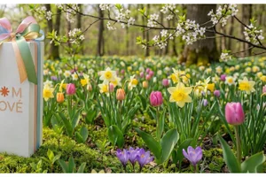 Schrijf je nu in voor de Lentesellers - Premium zijden boeketten