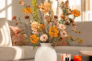 Nieuwe herfstcollectie live 🍂 Tijdelijk met introductiekorting