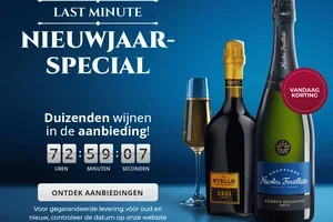 🕰️ SPECIALE NIEUWJAARSDAAG: laatste dagen voor leveringen voor het einde van het jaar