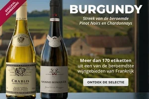 👑 Het prestige van Bourgogne gevangen in een glas