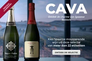 🥂 De charme van Spaanse bubbels in een Cava-fles