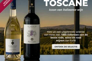 🍇 Van de heuvels tot de kust: alle nuances van Toscaanse wijnen