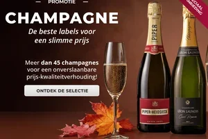 💎 Een reis door de Crus van de Champagne met oog voor het budget