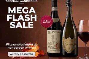 💥 MEGA FLASH SALE: Flash-aanbiedingen op honderden wijnen
