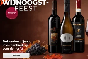 🍇 WIJNOOGSTFEEST: Veel wijnen te koop voor de herfst