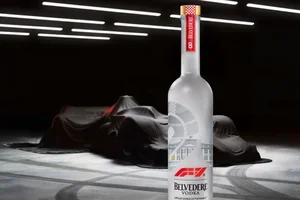 Pour les vrais fans de F1