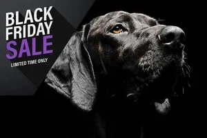 Maak kennis met Milbenin – 40% korting! 🎉