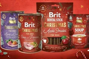 Feestelijke verrassing bij jouw aankoop! ⭐