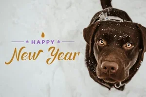 6% korting op alles + dubbele Buddycoins dit weekend ✨