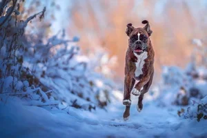 Zorg voor soepele beweging deze winter! ❄️