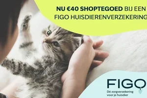 Verzeker je huisdier met korting bij Figo Pet 🐾