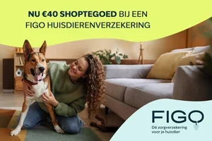 Verzeker je huisdier met korting bij Figo Pet 🐾