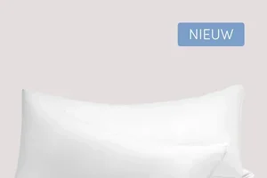 Ontdek de zachtste zomerfavorieten