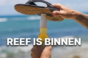 Reef back on track