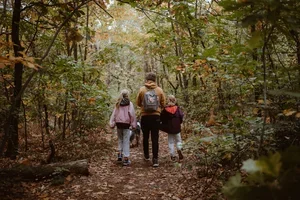 Het bos leeft meer dan je denkt 🌳