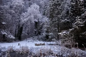 ❄️☃️🌨️ Weet je nog?
