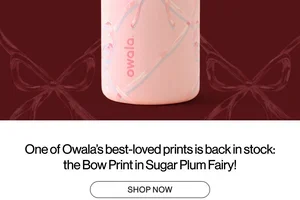 🎀 Back In Stock! Owala Sugar Plum Fairy 🎀