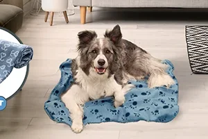 Pre Black Friday! Gratis dierendeken | -10% Trovet Hypoallergenic