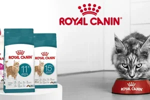 10% korting op Royal Canin SHN & FHN | Adventskalenders samen aftellen