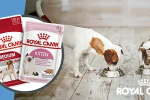 -30% Royal Canin natvoer | Gratis pepernoten | -7,5% Calibra