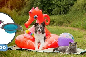 Hitte-alarm: Gratis Pet-bowl bij besteding van € 70 of meer!🔆