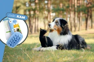 Gratis massagekam bij besteding vanaf € 70 🐈 | Pro Plan hond tot 25% korting