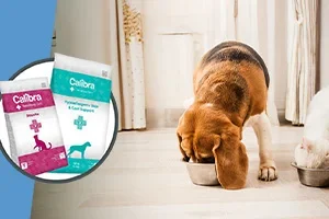 Calibra veterinair -15% | Gratis treats bij Royal Canin Veterinair 🐕
