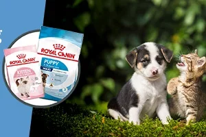 Royal Canin Start of Life tot 20% korting 🐶 | alle Trovet 5 % korting