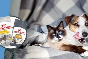 -15% Royal Canin Life Care | -15% Hill's Science Plan Speciality | -10% Trovet natvoer