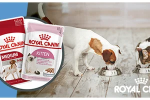 Laatste Kans: 30 % korting op Royal Canin Natvoer | 5% korting op alle Trovet