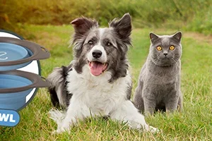 Weekenddeal: Gratis opvouwbare petbowl