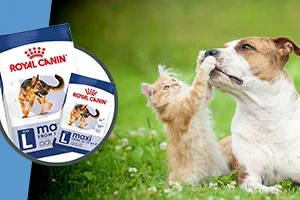 Hill's natvoer festival 25% korting | Royal Canin vakantie-deals ☀️| Sanimed 10% korting