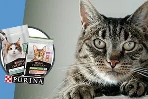 Pro Plan kat tot 25% korting 🐈| Gratis snacks voor jouw Hond