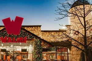 ❄️ De leukste winterse uitstapjes